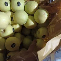 سیب|خوردنی و آشامیدنی|سیلوانه, |دیوار