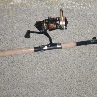 لنسر ماهیگیری