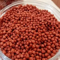 غذای ماهی|ماهی|اهواز, زیتون کارمندی|دیوار