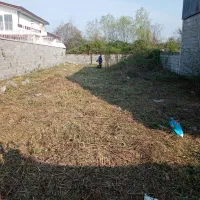 علف زنی و هرس کردن درختان با دستگاه|خدمات باغبانی و درختکاری|رشت, حومه رشت|دیوار