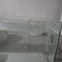 آکواریوم
