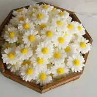 شمع های زیبا و اختیاری