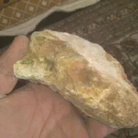 سنگ فسیل ماهی وصدف ماهی ۲۰۰۰ساله|کلکسیون اشیاء عتیقه|دلبران, |دیوار