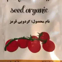 معجزه ای در کاشت گوجه|عمده‌فروشی|شیراز, کوی زهرا|دیوار