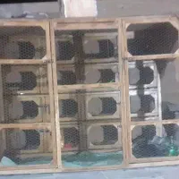 جفت کن  ۱۶تایی حیاط دار اختاصی ودنج