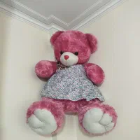 خرس بزرگ صورتی