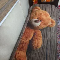 تخت جوانان درحد نو