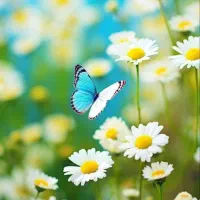 جویای کار