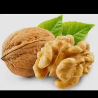 گردو پیوندی پایه ژنوتیپ پیوند چندلر.وفرنور|خدمات باغبانی و درختکاری|کرمان, |دیوار