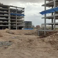 درخواست مجری ذیصلاح