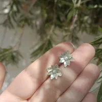 گلگوش نقره با مروارید پرورشی|جواهرات|شیراز, شهرک فرهنگیان|دیوار