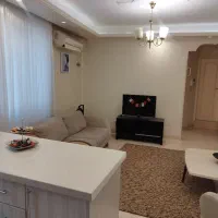 نقلی بی نظیر|اجارهٔ آپارتمان|تهران, مینای شمالی (مخبر)|دیوار