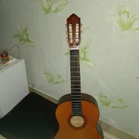 گیتار فروشی|گیتار، بیس، امپلیفایر|میانه, |دیوار