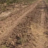 زمین کشاورزی تقاب