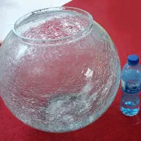 تنگ ماهی ضخیم نما ترک