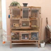 قفس پرنده در بندرلنگه