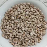 لوبیاارتشی.اذربایجان.