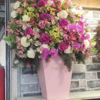 گل آرایی تشریفات.باکس گل تاج گل|گل و گیاه طبیعی|پاکدشت, پاکدشت (مامازند)|دیوار