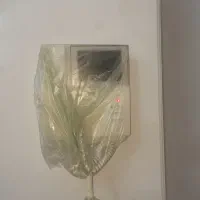 نقاشی ساختمان و کاغذدیواری شرق|خدمات پیشه و مهارت|تهران, نیروی هوایی (پیروزی)|دیوار