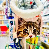 *انواع ملزومات پت شاپ، غذای گربه و سگ باقیمت ویژه*