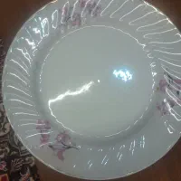 ۵دست پشقاب پلو خوری