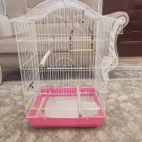 قفس عروس هلندی