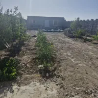 باغ-امن-و-آرام-و-دنج-فروش-فوری-فوری