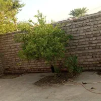 فروش خانه ویلایی ساکن در محمدان|فروش خانه و ویلا|بمپور, |دیوار