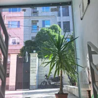 گلدان یوکا فروشی