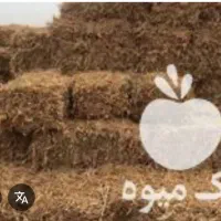 فروش کاه سویا+لوبیا روغنی