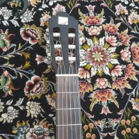 گیتار الحمراه c2|گیتار، بیس، امپلیفایر|بیرجند, |دیوار