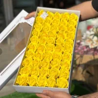 پخش عمده گل صابونی|گل مصنوعی|رباطکریم, شترخوار|دیوار