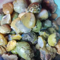 فروش عمده سنگ عقیق توپی و بدون پوست|جواهرات|فیروزآباد (فارس), |دیوار