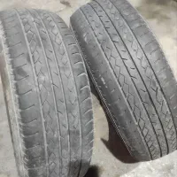 لاستیک سمند استوک