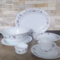 سرویس آرکوپال|ظروف سرو و پذیرایی|کاشان, امام خمینی|دیوار