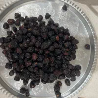 گیلاس تک دانه خشک