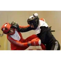 مربی و داور بوکس