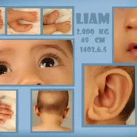 اتلیه و عکاسی ،یلدا،بارداری، نوزاد ،عروس داماد|خدمات پذیرایی، مراسم|یزد, |دیوار