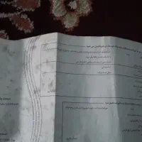 چک پیداشدبنام محمدرضانوری