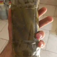 خیارشور و ترشیجات و زیتون|خوردنی و آشامیدنی|تهران, توحید|دیوار