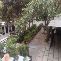 نیروی خدماتی
