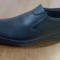 کفش چرم مردانه|کیف، کفش، کمربند|ایذه, |دیوار