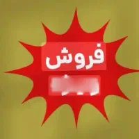 فروش ۲دانگ جرثقیل