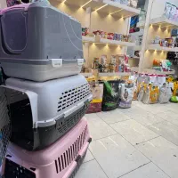 پت شاپ، غذا سگ،گربه و پرنده|لوازم جانبی حیوانات|مشهد, گلبرگ شمالی|دیوار