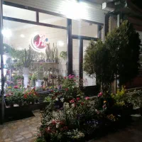 گل و گلدان فروشی ماه گل