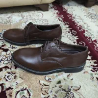 کفش آلبرت ملوانی شیما مجلسی سایز 43|کیف، کفش، کمربند|رشت, باهنر|دیوار