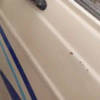 وانت باقیمت مناسب تمام وقت