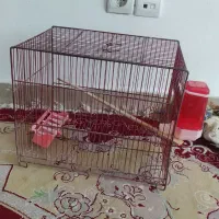 قفس درحد نو|پرنده|ملکشاهی, |دیوار