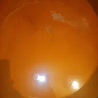 سمنوی تازه