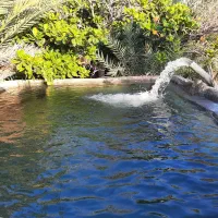زمین کشاورزی ، روستای چاهستان